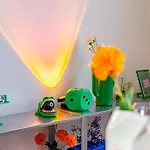 Loft Colore - A 2 Pas Du Jardin Darcy